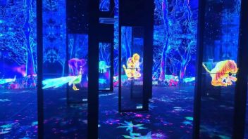 云南考古体验馆设计建设！沉浸式探秘“视+听+触”考古新体验