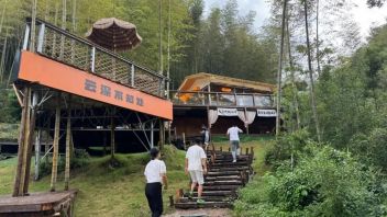 城市青和力如何撬动年轻人<b>文旅消费</b>？2024年轻人主导的文旅新趋势解析