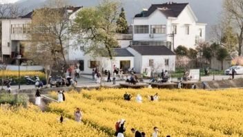 村咖现象解读：乡村咖啡如何成为文旅融合新风口与乡村振兴新路径