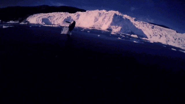 球幕影院如何用高科技“活化”传统文化，打造“无上龙门”等现象级IP