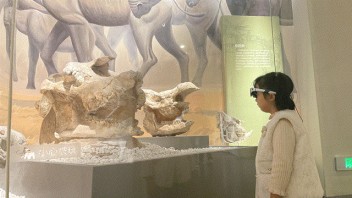 2024文旅数字化十佳案例盘点：数字技术如何重塑文旅新体验