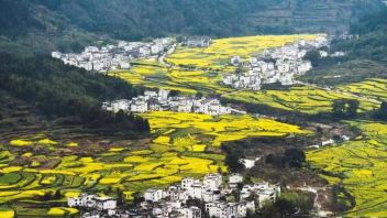 县域旅游如何把握机遇：从淄博烧烤到安吉咖啡的<b>文商旅融合</b>策略