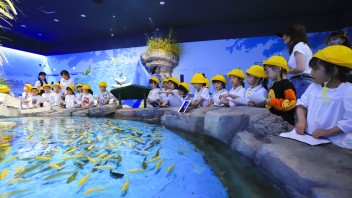 研学+文旅融合新模式：洛阳/曲阜/江豚湾实践案例深度解读