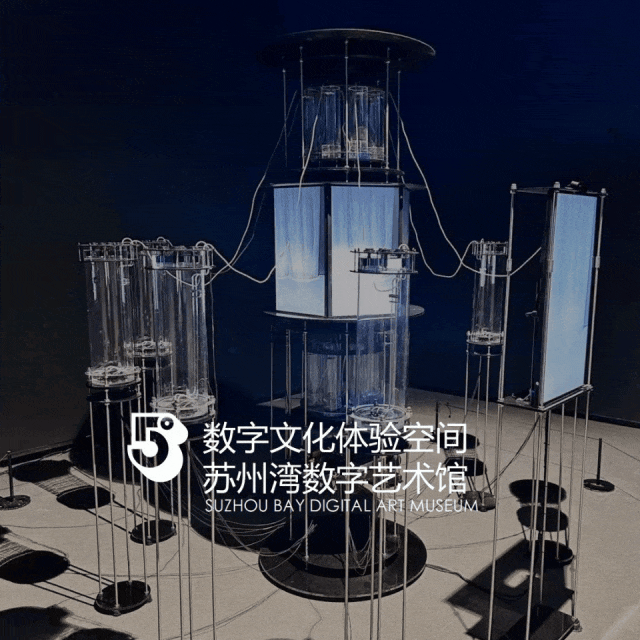苏州湾数字艺术馆设计效果图：沉浸式数字艺术体验与未来灵感世界全攻略
