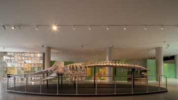 国家生物多样性展馆设计解析：生命之树与DNA螺旋结构建筑