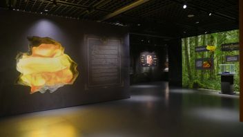 波兰琥珀文化艺术展落地河南博物院，探寻波罗的海琥珀千年文明底蕴