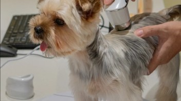 银发族与<b>Z世代</b>成宠物经济主力：智能养宠与下沉市场新机遇