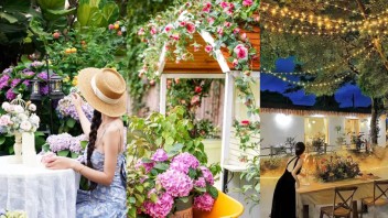 庭院经济如何助力乡村振兴？餐饮、商拍、活动、教育全解析