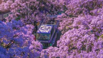 五一<b>文旅消费</b>四大趋势解析：县域游、高星酒店、自驾游、跨境游成热点