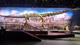 成都自然博物馆（成都理工大学博物馆）设计，川渝恐龙化石群+趣味互动展项